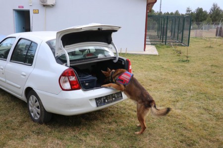 Otoyol'da bariyerleri aşan otomobil, şarampole uçtu: 4 yaralı