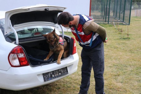 Otoyol'da bariyerleri aşan otomobil, şarampole uçtu: 4 yaralı