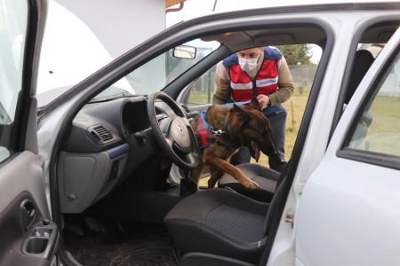 Otoyol'da bariyerleri aşan otomobil, şarampole uçtu: 4 yaralı