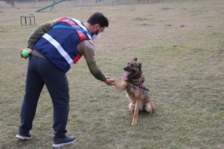 Otoyol'da bariyerleri aşan otomobil, şarampole uçtu: 4 yaralı