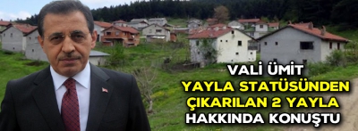 Vali Ahmet Ümit yayla evleri hakkında konuştu