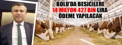 Bolu'da besicilerin ödemeleri yapılacak