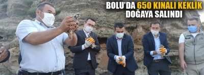 Bolu'da 650 kınalı keklik doğaya bırakıldı