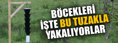 Bolu'da böceklerle tuzaklı mücadele