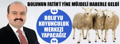 Bolu koyunculuk merkezi oluyor