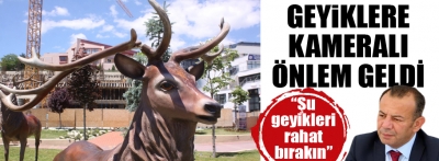 Geyik heykellerine kameralı önlem