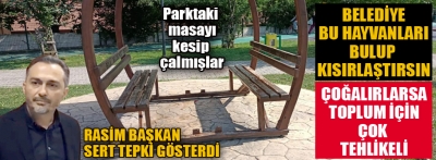 Parktaki masayı kesip çaldılar