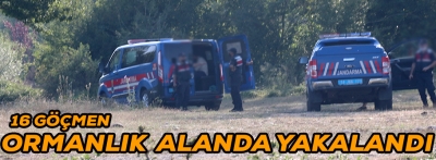 BOLU'DA 16 GÖÇMEN YAKALANDI