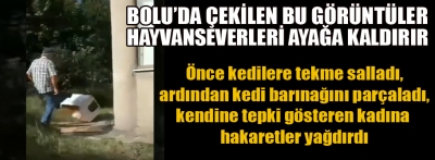 Bu görüntüler hayvanseverleri ayağa kaldırır