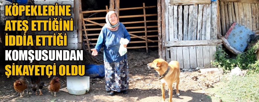 Köpeklerine tüfekle ateş ettiğini öne sürdüğü komşusundan şikayetçi oldu