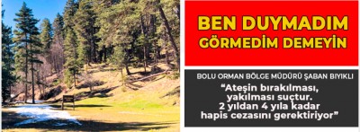 Demedi demeyin, 4 yıl hapis cezası var