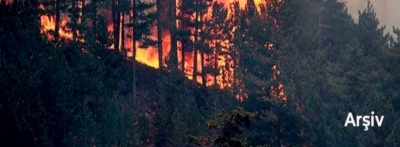 Göynük'te çıkan orman yangını büyümeden söndürüldü