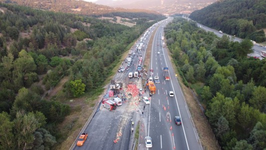 Bolu'da genç kızla papağanın inanılmaz dostluğu