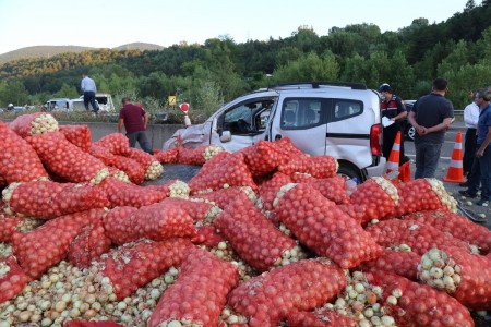 Bolu'da genç kızla papağanın inanılmaz dostluğu