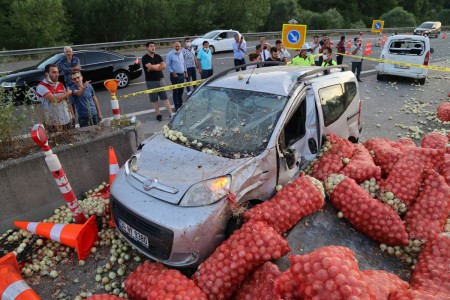 Bolu'da genç kızla papağanın inanılmaz dostluğu