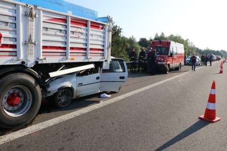 Bolu'da genç kızla papağanın inanılmaz dostluğu