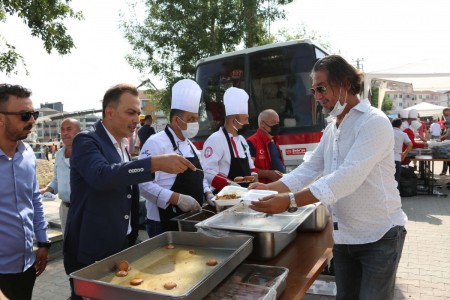 Bolu'da kuvvetli rüzgar ağaç devirdi