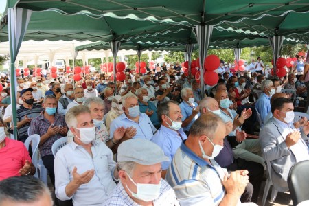 Bolu'da kuvvetli rüzgar ağaç devirdi