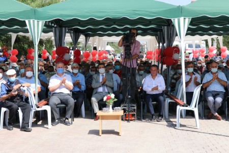 Bolu'da kuvvetli rüzgar ağaç devirdi