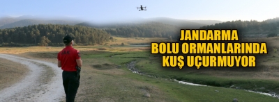 Jandarmadan Bolu ormanlarında sıkı denetim