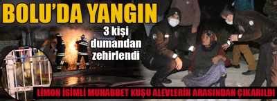 Yangından kurtarılan muhabbet kuşu polislere teslim edildi