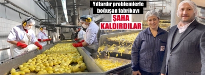 Patates fabrikasına yeniden hayat verdiler