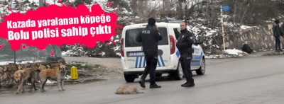 Aracın çarptığı köpek yavrusuna polis sahip çıktı