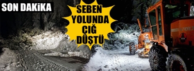 Seben Kıbrıscık yolunda çığ düştü