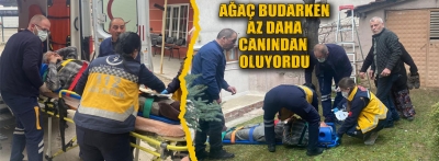 Ağaç budarken canından oluyordu