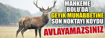 Bolu'da kızıl geyik avı ihalesi iptal edildi