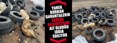 Gerede'de belediyesine ait olduğu iddia ediliyor