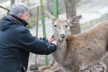 Bolu bir anda kıpkırmızı oldu