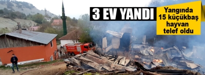 Bolu'da 3 ev yandı