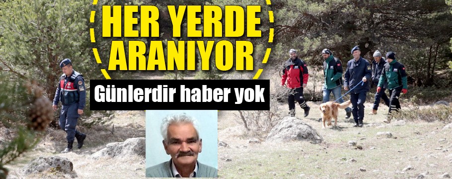 Bolu'da kaybolan yaşlı adam aranıyor