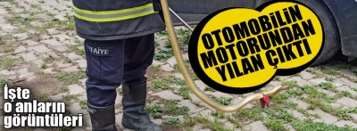 Otomobilin teker kısmına giren yılan çıkarıldı