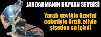 Jandarmanın hayvan sevgisi