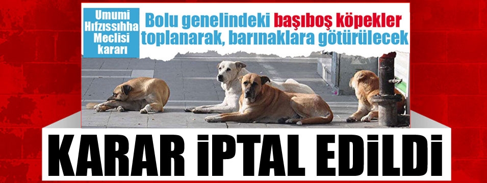 Başıboş köpeklerin toplanması kararı iptal edildi