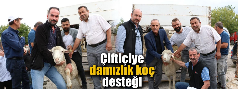 Çiftçiye damızlık koç desteği