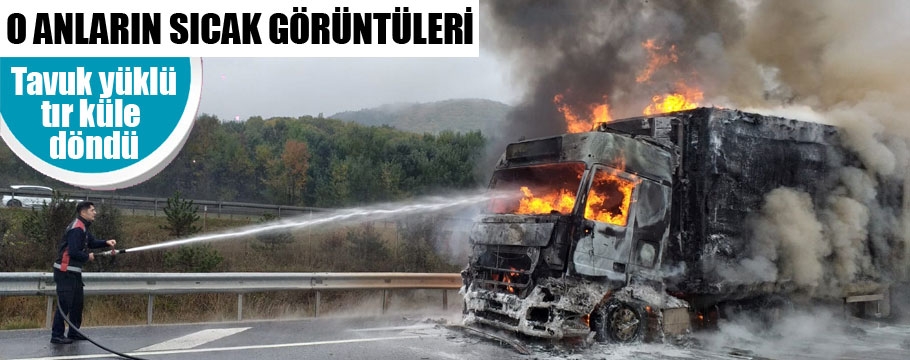 Tavuk yüklü tır alev alev yandı