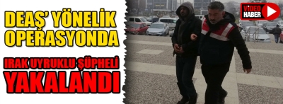 Bolu'da DEAŞ operasyonunda 1 şüpheli yakalandı