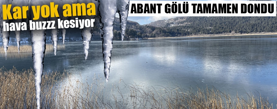 Abant Gölü'nün yüzeyi buz tuttu