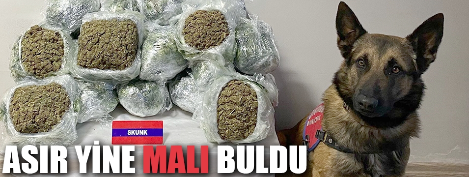  Yolcu otobüsünde 20 kilo 500 gram skunk ele geçirildi