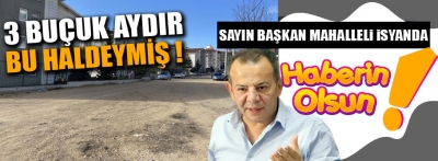 Mahallelinin çamurlu yol isyanı