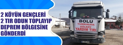 Gençler odun toplayıp gönderdi