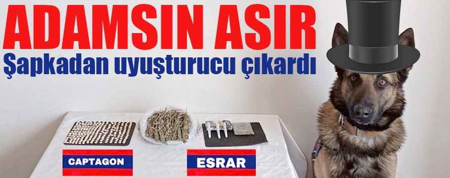 Şapkasına sakladığı uyuşturucu "Asır"ın hassas burnundan kaçmadı