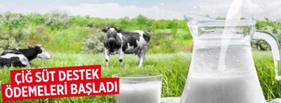 Bolu'da çiğ süt ve hayvancılık destekleme ödemeleri başladı