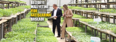 Bolu Belediyesi'nden üreticiye maliyetine yerli fide desteği
