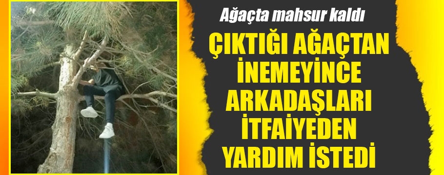 Çıktığı ağaçta mahsur kalan genç