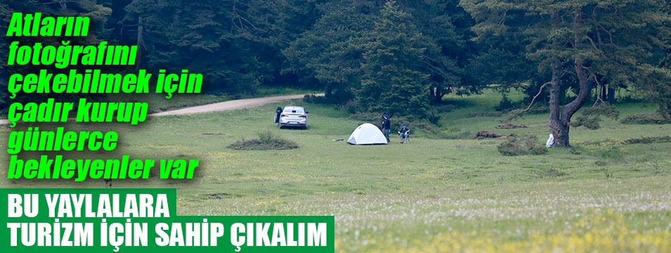 Turizm için bu yaylalara sahip çıkalım