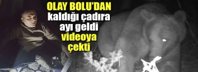 Kaldığı çadıra ayı geldi